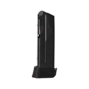 P365-.380-ACP-12RD-MAGAZINE